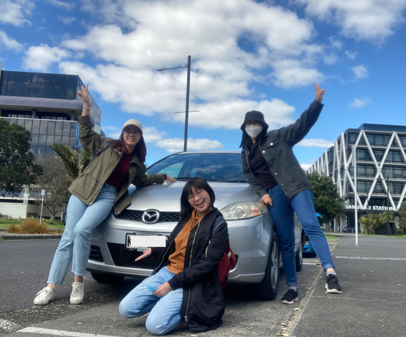 Buying a Car in New Zealand Diary